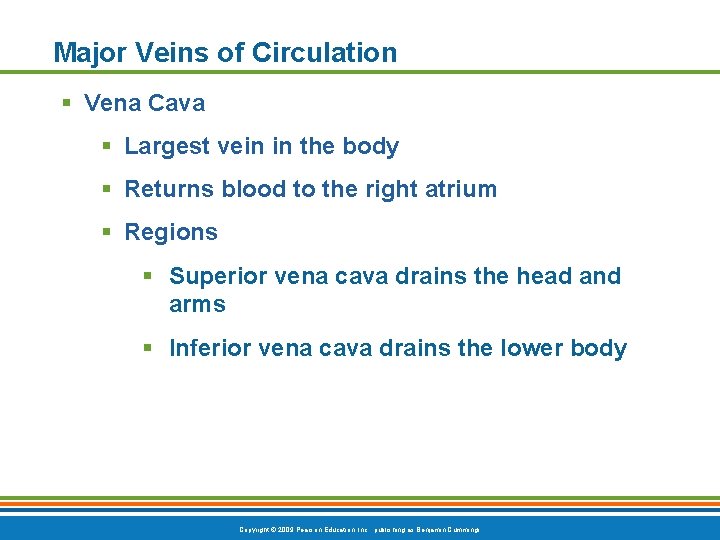 Major Veins of Circulation § Vena Cava § Largest vein in the body §