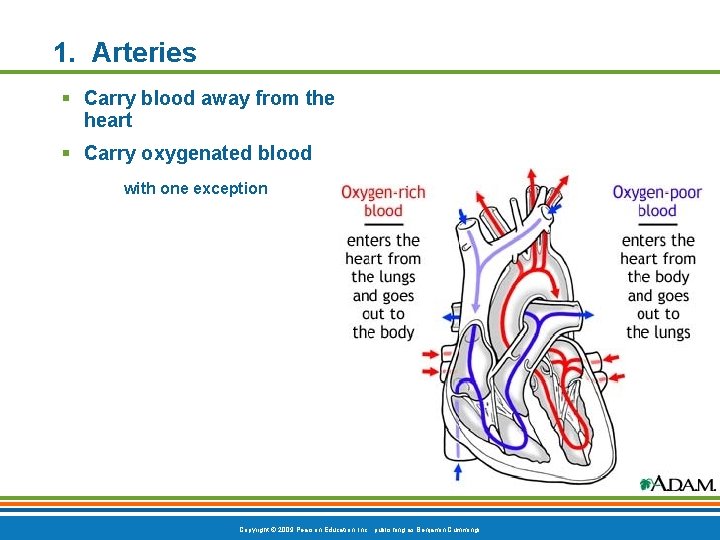 1. Arteries § Carry blood away from the heart § Carry oxygenated blood with