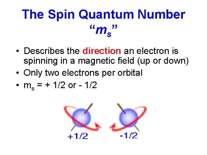 The Spin Quantum Number “ms” • Describes the direction an electron is spinning in