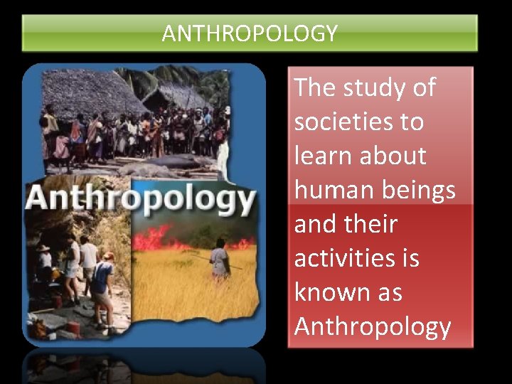 ANTHROPOLOGY The study of societies to learn about human beings and their activities is