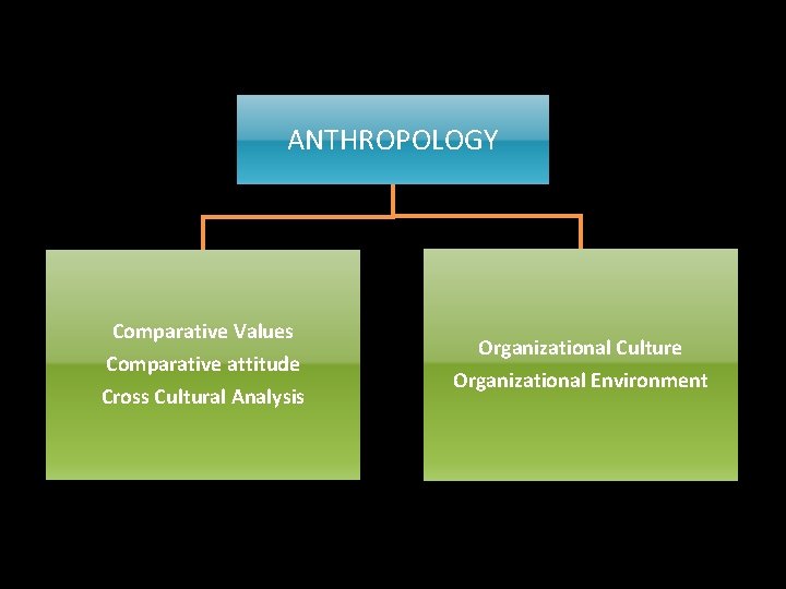 ANTHROPOLOGY Comparative Values Comparative attitude Cross Cultural Analysis Organizational Culture Organizational Environment 