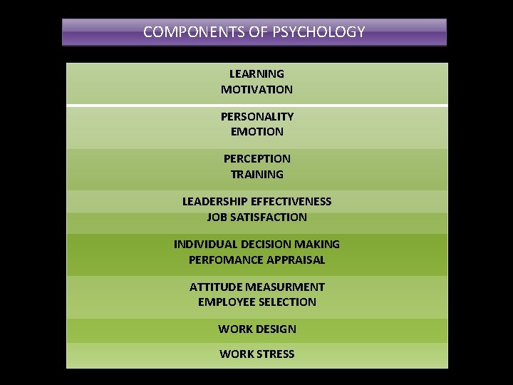 COMPONENTS OF PSYCHOLOGY LEARNING MOTIVATION PERSONALITY EMOTION PERCEPTION TRAINING LEADERSHIP EFFECTIVENESS JOB SATISFACTION INDIVIDUAL