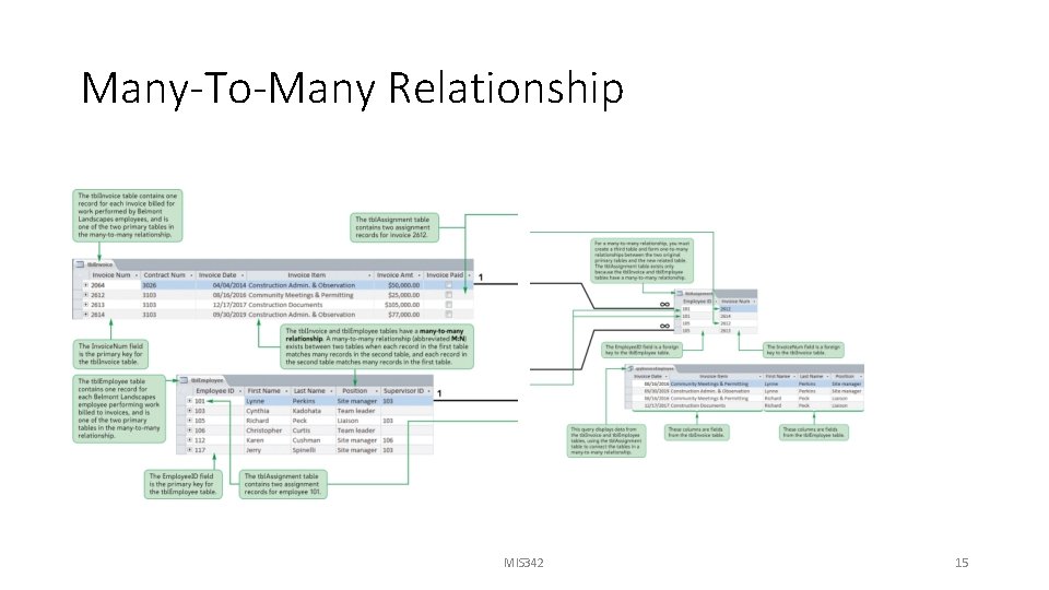 Many-To-Many Relationship MIS 342 15 