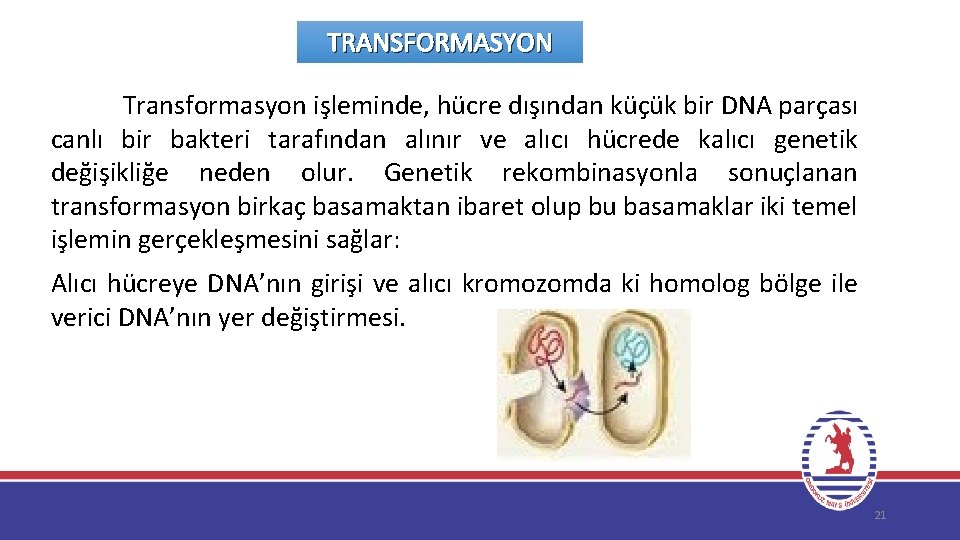 TRANSFORMASYON Transformasyon işleminde, hücre dışından küçük bir DNA parçası canlı bir bakteri tarafından alınır