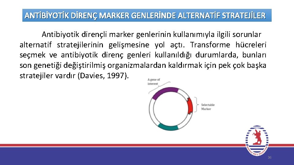 ANTİBİYOTİK DİRENÇ MARKER GENLERİNDE ALTERNATİF STRATEJİLER Antibiyotik dirençli marker genlerinin kullanımıyla ilgili sorunlar alternatif