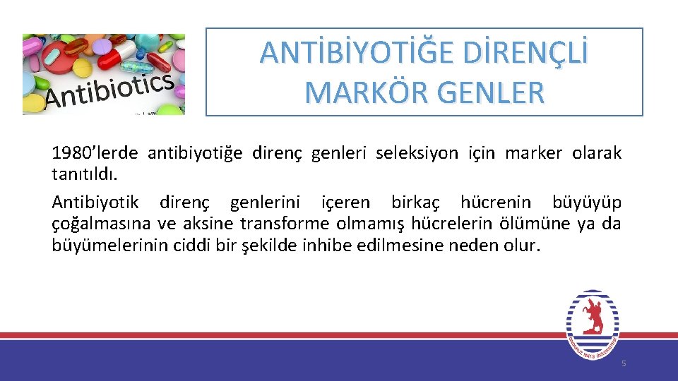 ANTİBİYOTİĞE DİRENÇLİ MARKÖR GENLER 1980’lerde antibiyotiğe direnç genleri seleksiyon için marker olarak tanıtıldı. Antibiyotik