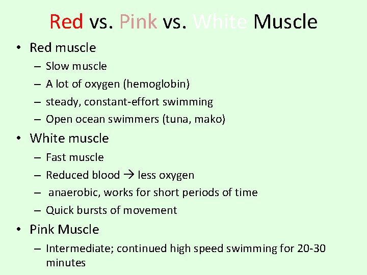 Red vs. Pink vs. White Muscle • Red muscle – – Slow muscle A