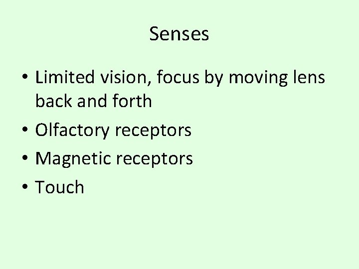 Senses • Limited vision, focus by moving lens back and forth • Olfactory receptors