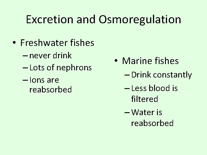 Excretion and Osmoregulation • Freshwater fishes – never drink – Lots of nephrons –