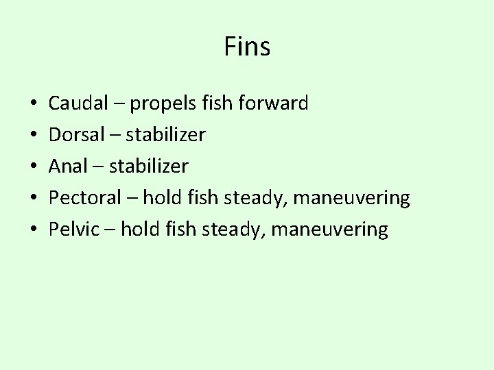 Fins • • • Caudal – propels fish forward Dorsal – stabilizer Anal –