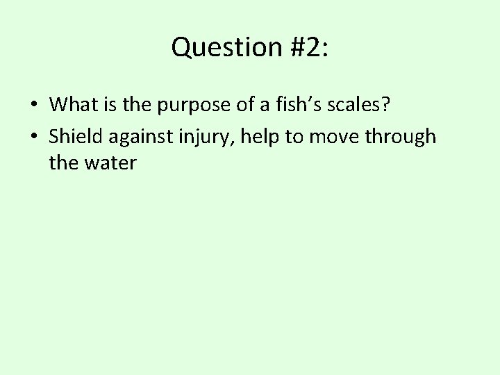 Question #2: • What is the purpose of a fish’s scales? • Shield against