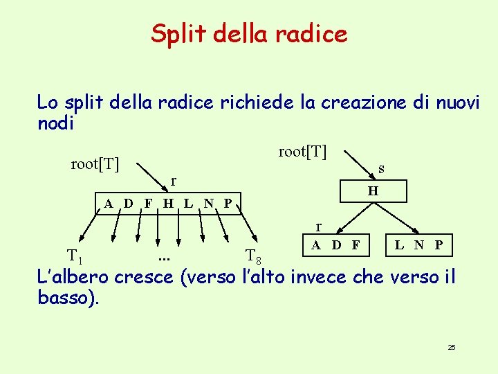 Split della radice Lo split della radice richiede la creazione di nuovi nodi root[T]