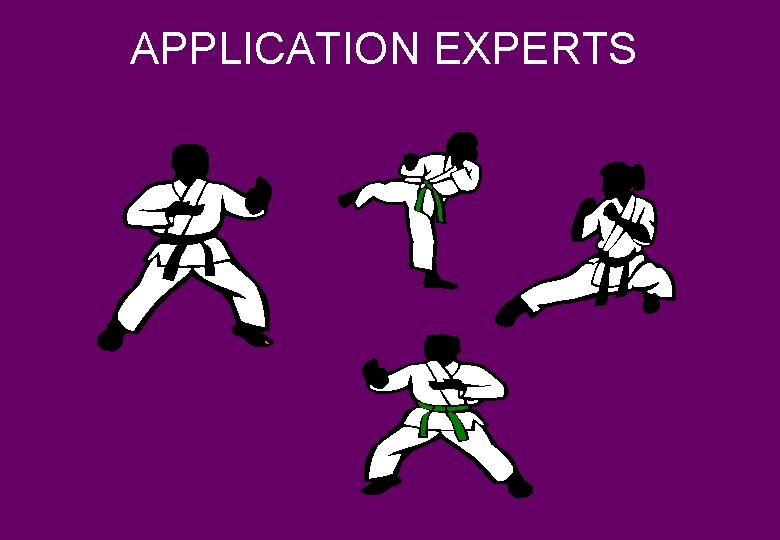 APPLICATION EXPERTS 