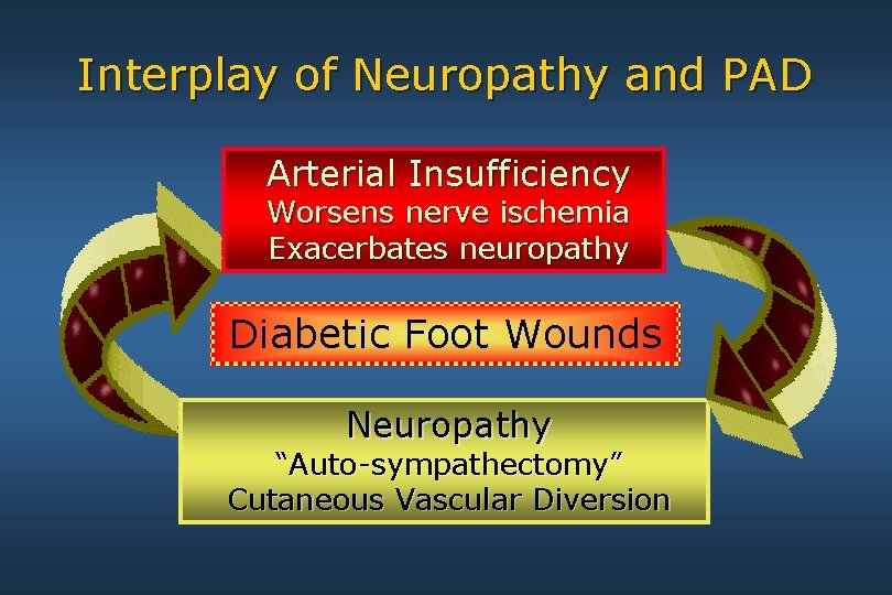 Interplay of Neuropathy and PAD Arterial Insufficiency Worsens nerve ischemia Exacerbates neuropathy Diabetic Foot