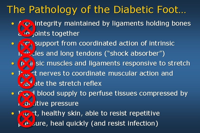 The Pathology of the Diabetic Foot… • Arch integrity maintained by ligaments holding bones
