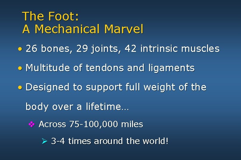 The Foot: A Mechanical Marvel • 26 bones, 29 joints, 42 intrinsic muscles •