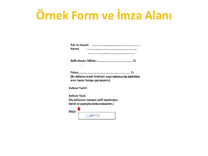 Örnek Form ve İmza Alanı 