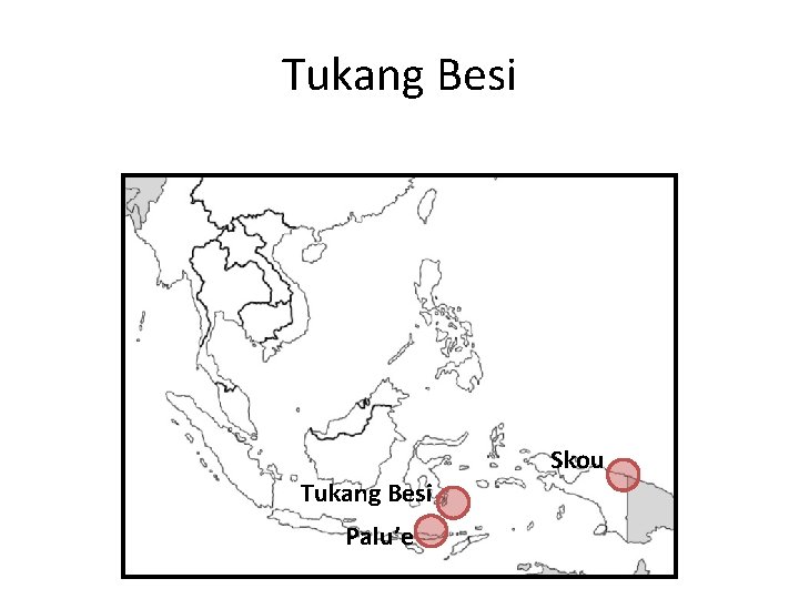 Tukang Besi Skou Tukang Besi Palu’e 