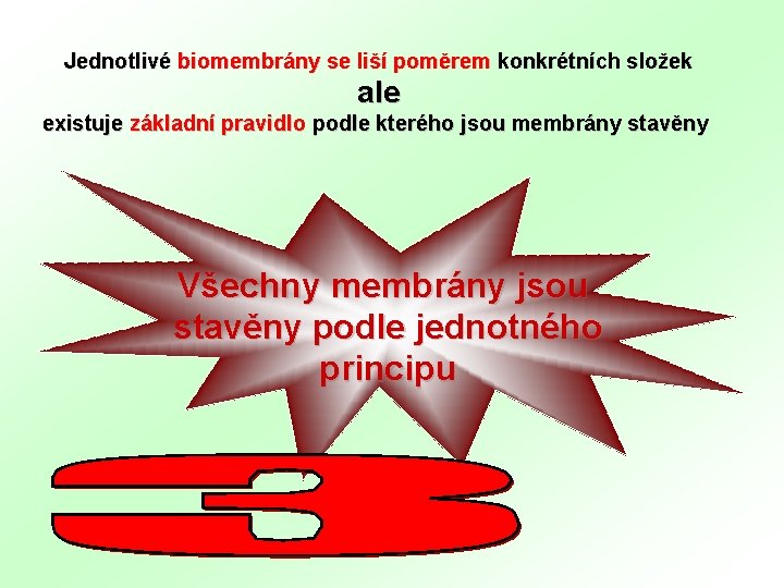 Jednotlivé biomembrány se liší poměrem konkrétních složek ale existuje základní pravidlo podle kterého jsou