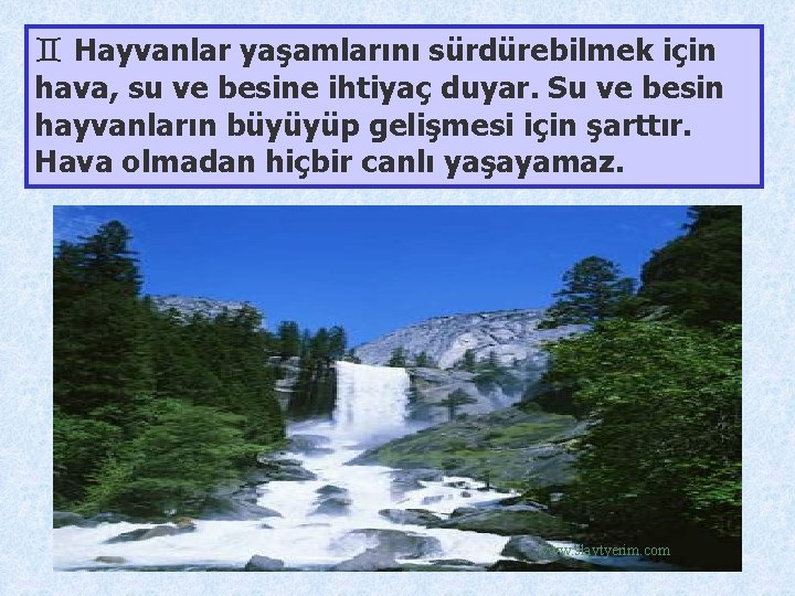 ` Hayvanlar yaşamlarını sürdürebilmek için hava, su ve besine ihtiyaç duyar. Su ve besin