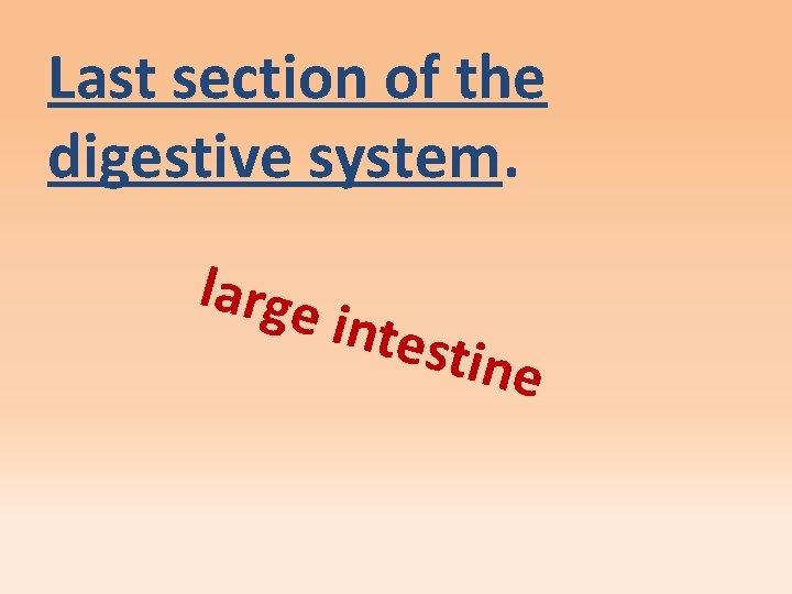 Last section of the digestive system. large intes tine 