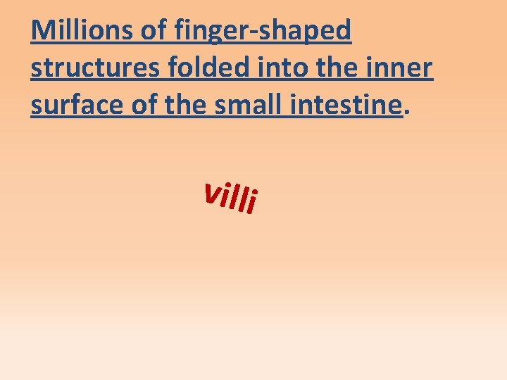 Millions of finger-shaped structures folded into the inner surface of the small intestine. villi