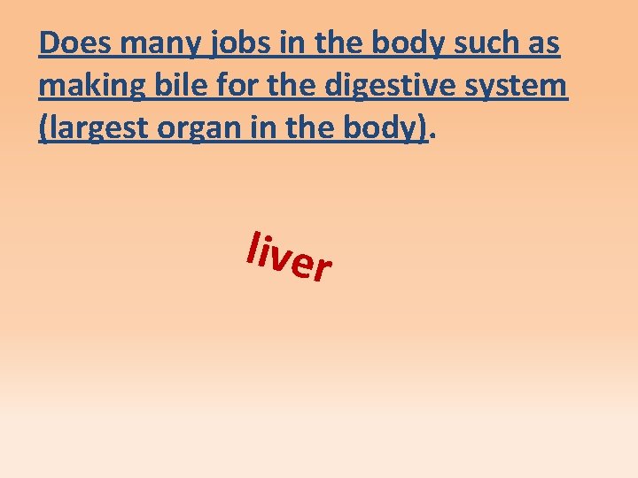 Does many jobs in the body such as making bile for the digestive system