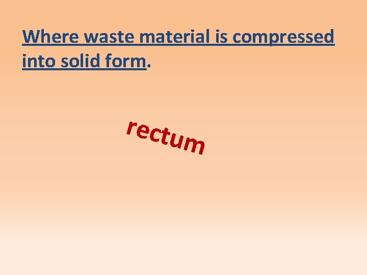 Where waste material is compressed into solid form. rectu m 