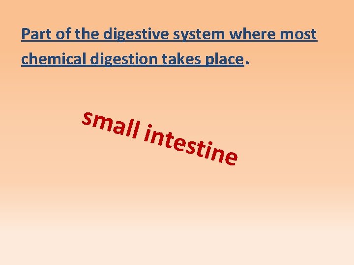 Part of the digestive system where most chemical digestion takes place. s mal l