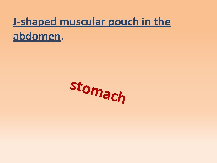 J-shaped muscular pouch in the abdomen. stom a ch 