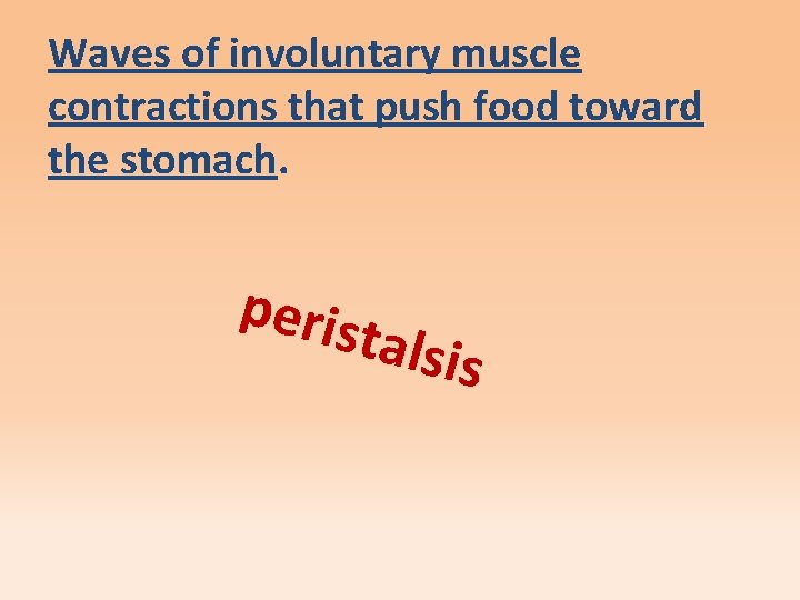 Waves of involuntary muscle contractions that push food toward the stomach. peris talsis 