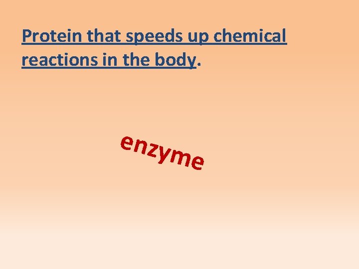 Protein that speeds up chemical reactions in the body. enzy me 