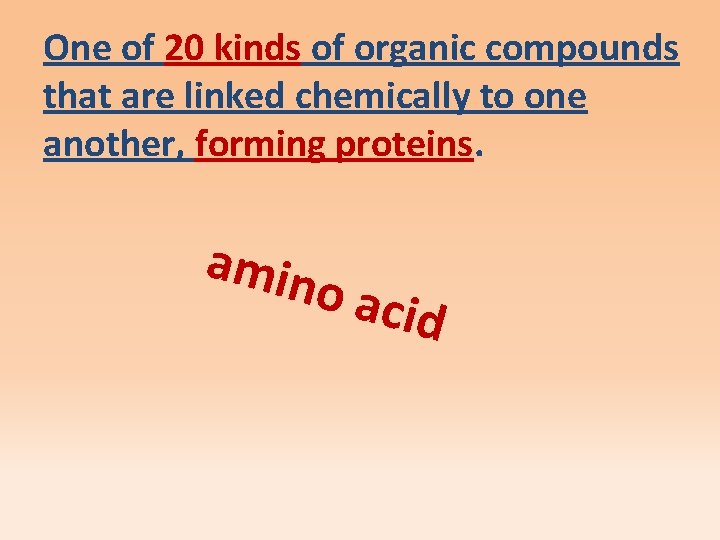 One of 20 kinds of organic compounds that are linked chemically to one another,