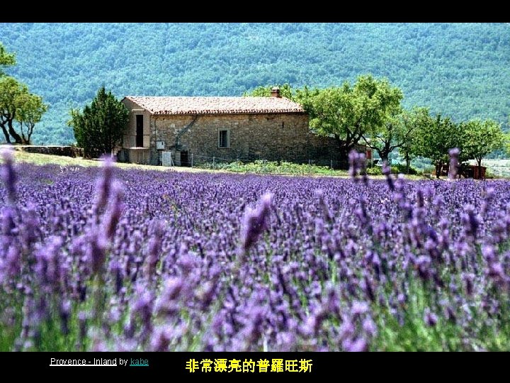 Provence - Inland by kabe 非常漂亮的普羅旺斯 