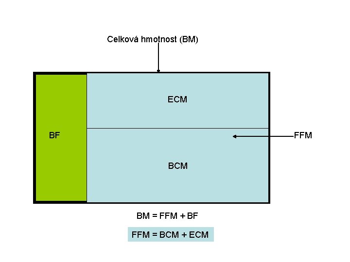 Celková hmotnost (BM) ECM FFM BF BCM BM = FFM + BF FFM =