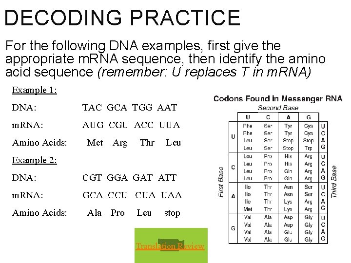 DECODING PRACTICE For the following DNA examples, first give the appropriate m. RNA sequence,