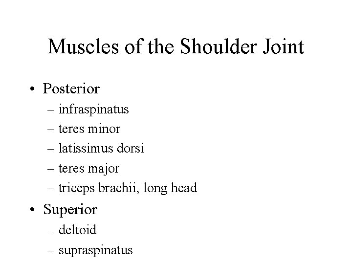 Muscles of the Shoulder Joint • Posterior – infraspinatus – teres minor – latissimus