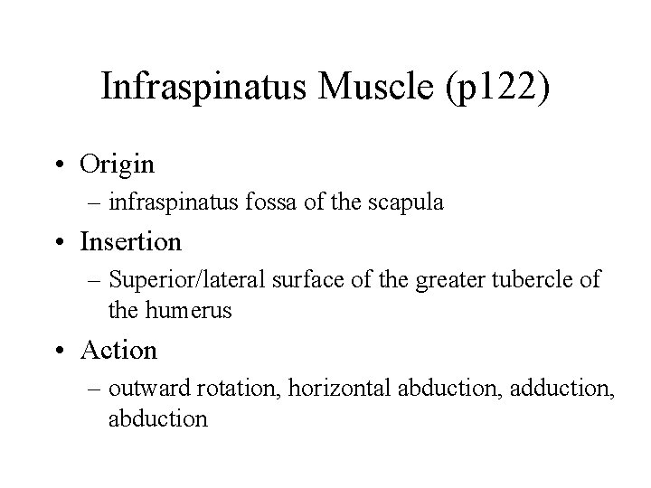 Infraspinatus Muscle (p 122) • Origin – infraspinatus fossa of the scapula • Insertion