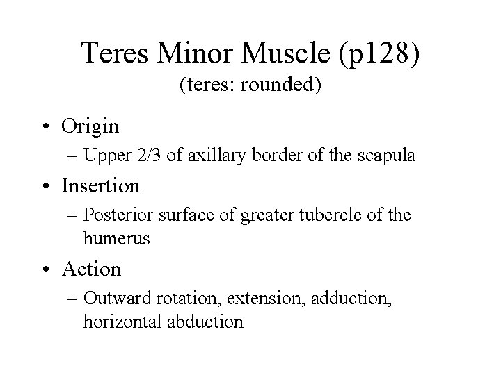 Teres Minor Muscle (p 128) (teres: rounded) • Origin – Upper 2/3 of axillary