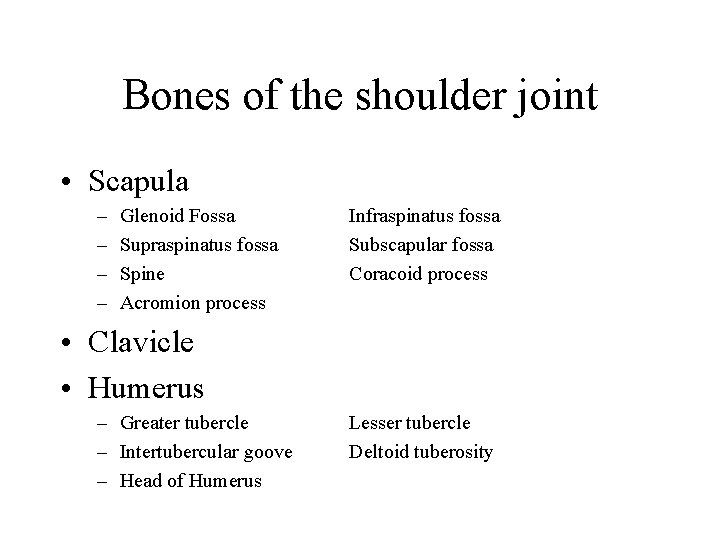 Bones of the shoulder joint • Scapula – – Glenoid Fossa Supraspinatus fossa Spine