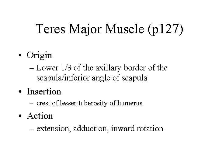 Teres Major Muscle (p 127) • Origin – Lower 1/3 of the axillary border