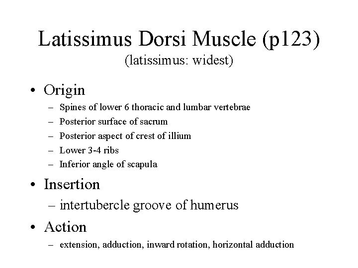 Latissimus Dorsi Muscle (p 123) (latissimus: widest) • Origin – – – Spines of