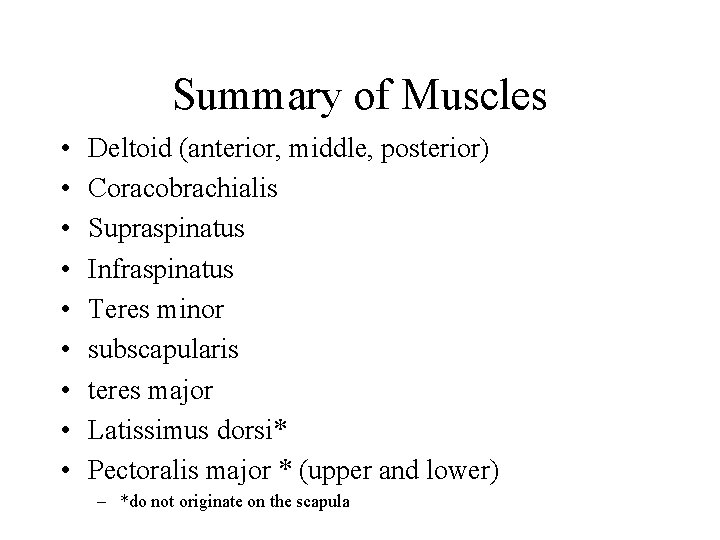 Summary of Muscles • • • Deltoid (anterior, middle, posterior) Coracobrachialis Supraspinatus Infraspinatus Teres