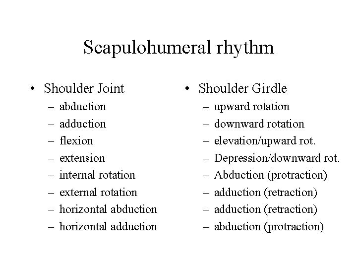 Scapulohumeral rhythm • Shoulder Joint – – – – abduction adduction flexion extension internal