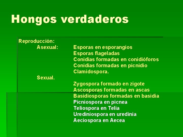 Hongos verdaderos Reproducción: Asexual: Esporas en esporangios Esporas flageladas Conidias formadas en conidióforos Conidias