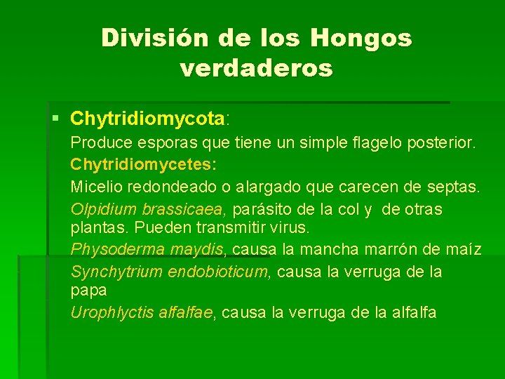 División de los Hongos verdaderos § Chytridiomycota: Produce esporas que tiene un simple flagelo