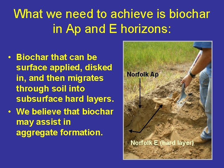 What we need to achieve is biochar in Ap and E horizons: • Biochar