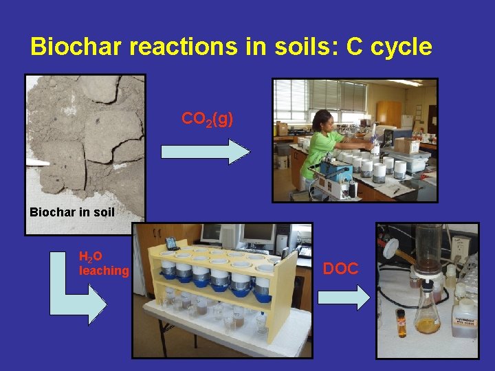 Biochar reactions in soils: C cycle CO 2(g) Biochar in soil H 2 O
