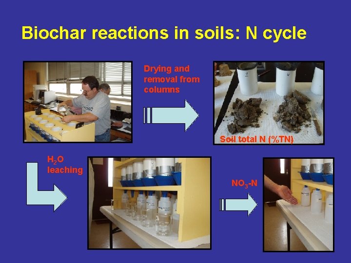 Biochar reactions in soils: N cycle Drying and removal from columns Soil total N