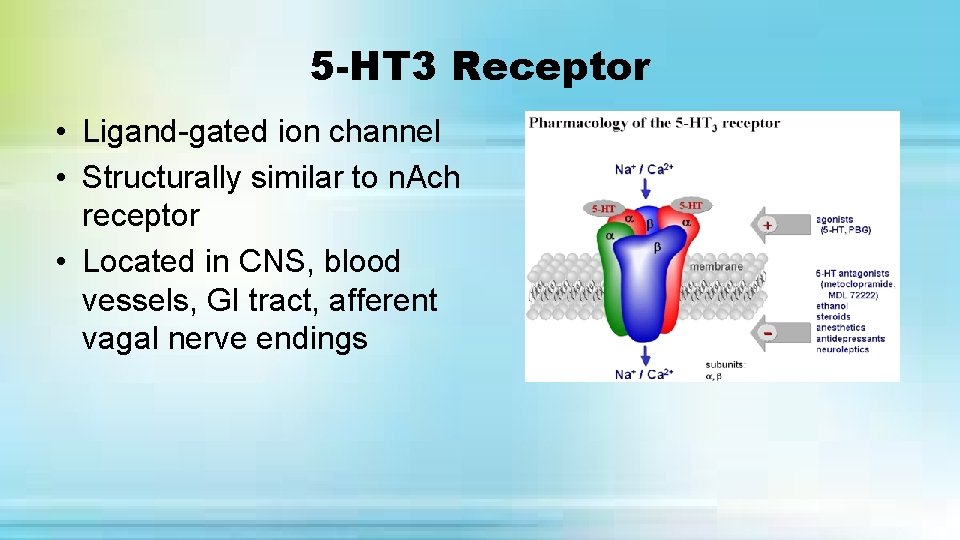 5 -HT 3 Receptor • Ligand-gated ion channel • Structurally similar to n. Ach